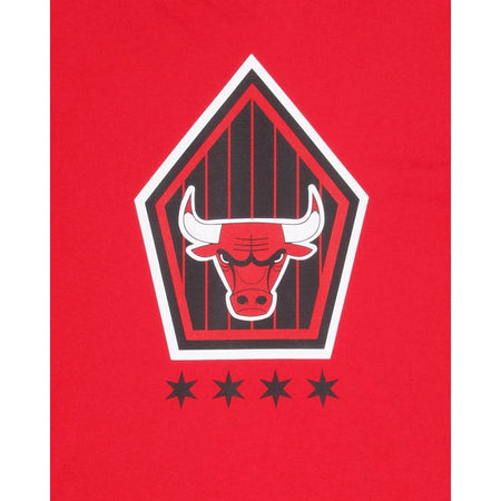 Chicago Bulls City Edition T-Shirt